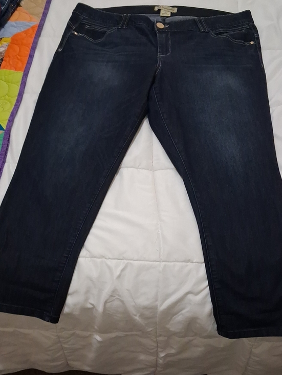 Democracy Denim - Democracy Navy Blue Jeans with Logo Tag Sz 20W